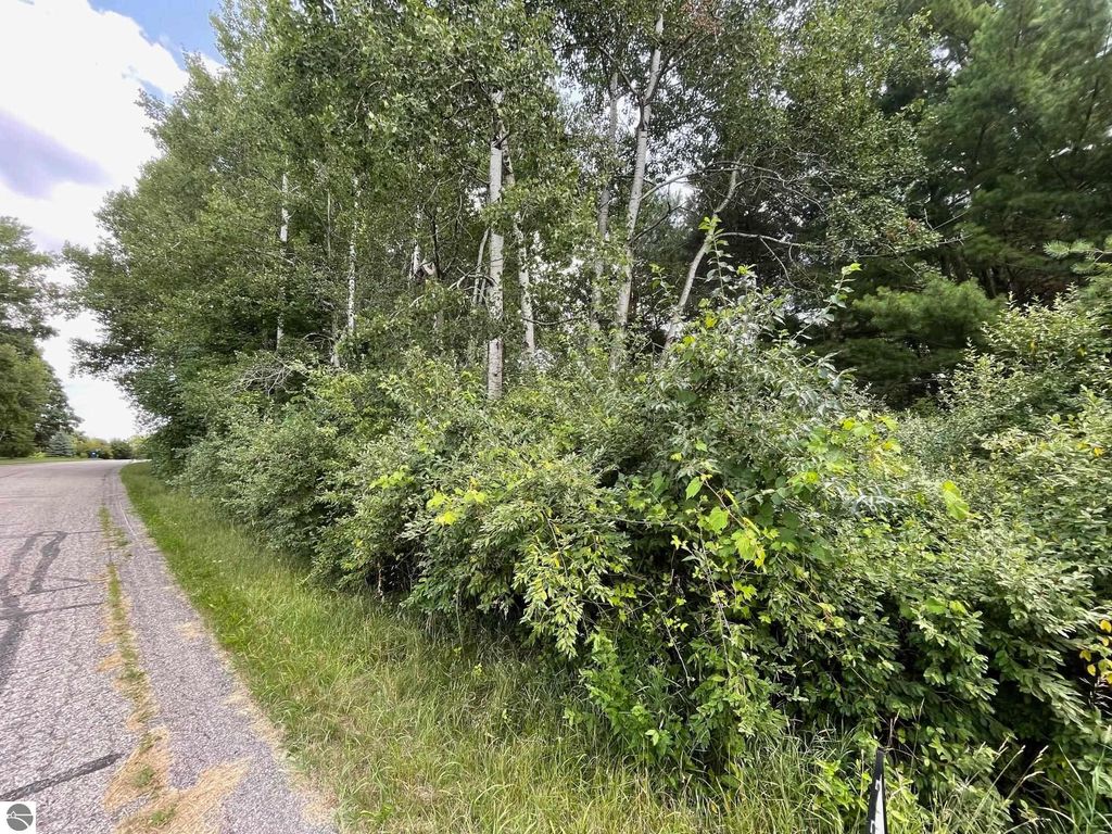 Photo of 1090 Carmen Drive #43/44, Weidman, MI 48893 (MLS # 1925085)