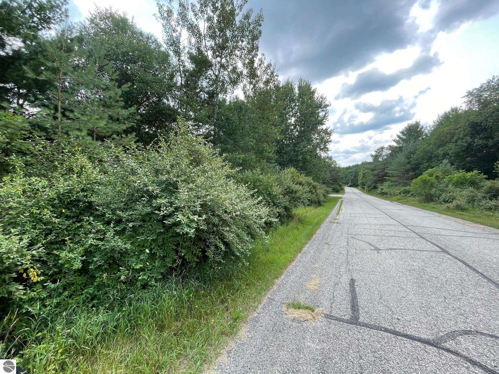 Photo of 1090 Carmen Drive #43/44, Weidman, MI 48893 (MLS # 1925085)