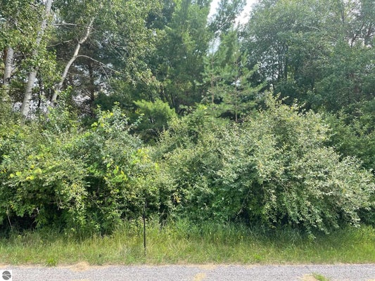 1090 CARMEN DR, WEIDMAN, MI 48893 - Image 1f8bd6e4a7dd41c0a5ffb97fa85ccaf4/974135172
