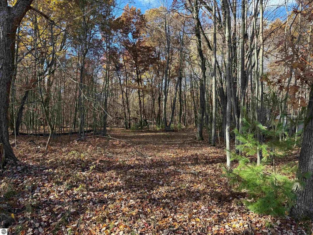 Photo of VL S Eddy Creek Road, West Branch, MI 48661 (MLS # 1939964)