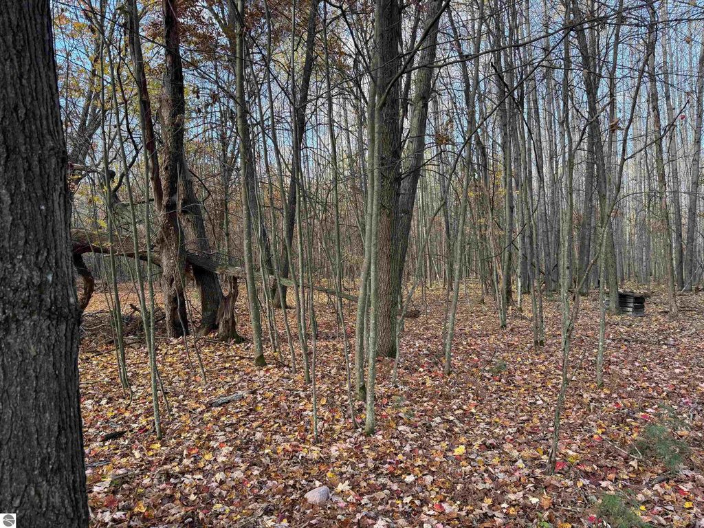 Photo of VL S Eddy Creek Road, West Branch, MI 48661 (MLS # 1939964)