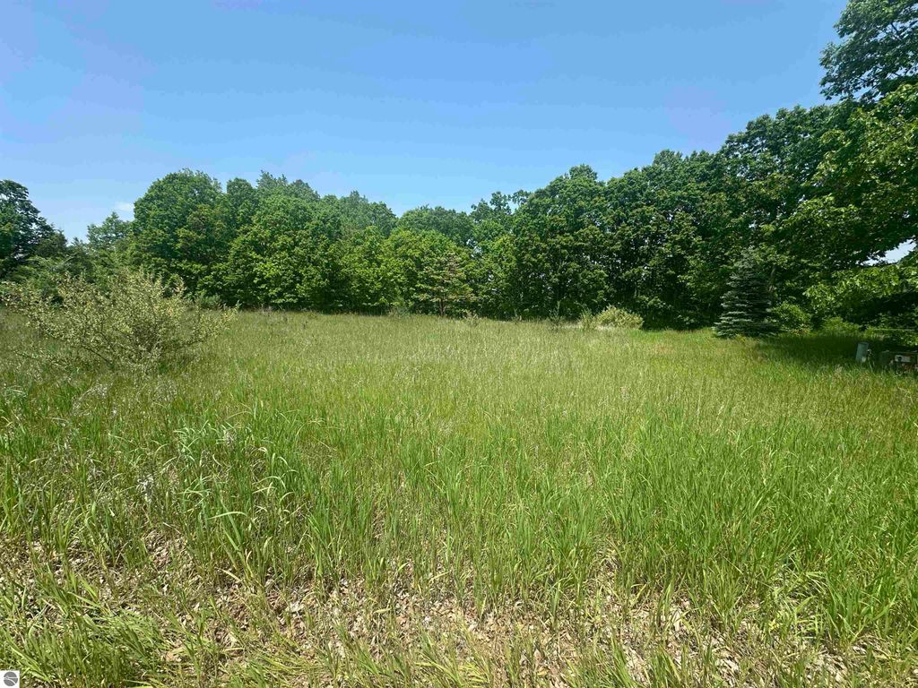 Photo of 1035 Bonanza Lane, Weidman, MI 48893 (MLS # 1934834)