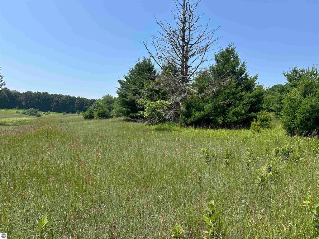 Photo of 3 Bright Road #3, Maple City, MI 49664 (MLS # 1939914)