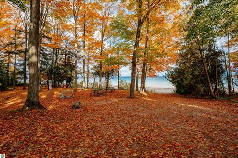Tiny photo for 431 N Nanagosa Trail, Suttons Bay, MI 49682 (MLS # 1939856)