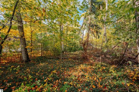 Tiny photo for 431 N Nanagosa Trail, Suttons Bay, MI 49682 (MLS # 1939856)