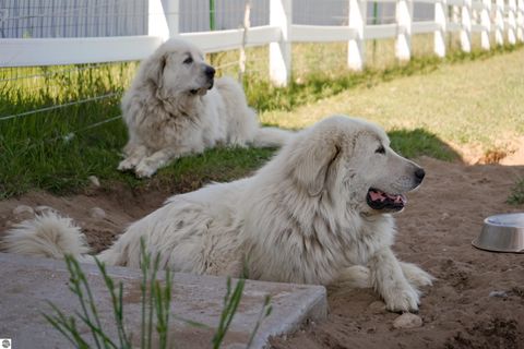 Tiny photo for 3619 Tompkins Road, Traverse City, MI 49686 (MLS # 1933699)