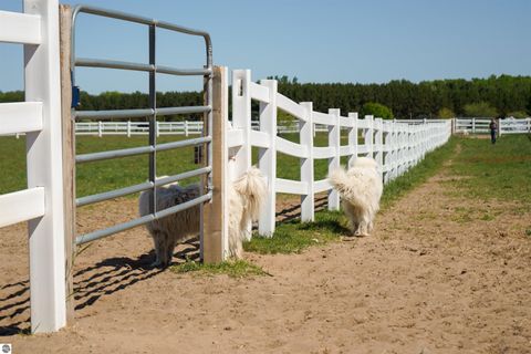 Tiny photo for 3619 Tompkins Road, Traverse City, MI 49686 (MLS # 1933699)