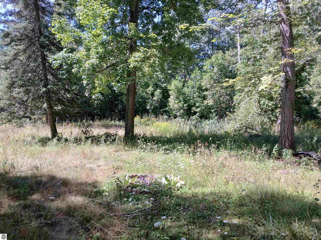 Photo of 8301 Sherwood Drive, Hale, MI 48739 (MLS # 1938017)