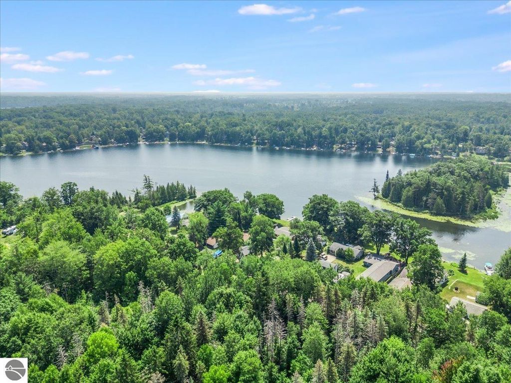 Photo of 8225 Lakeview Drive, Hale, MI 48739 (MLS # 1936517)