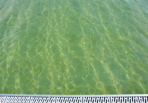 Tiny photo for 4213 E Oxford Drive, Leland, MI 49654 (MLS # 1939346)