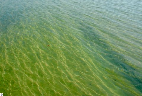 Tiny photo for 4213 E Oxford Drive, Leland, MI 49654 (MLS # 1939346)