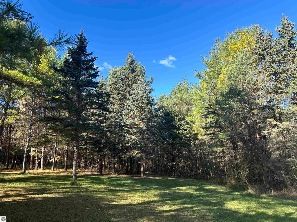 Photo of 00 Dryer Road, Standish, MI 48658 (MLS # 1940089)