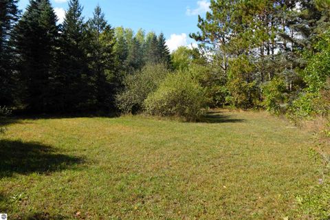 Tiny photo for 11015 75th Avenue, Mecosta, MI 49332 (MLS # 1939423)