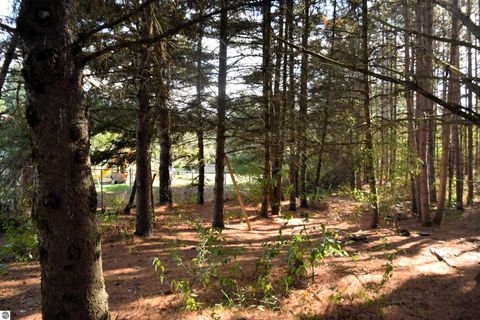 Tiny photo for 11015 75th Avenue, Mecosta, MI 49332 (MLS # 1939423)