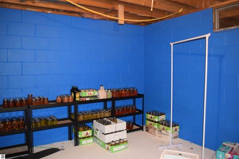 Tiny photo for 11015 75th Avenue, Mecosta, MI 49332 (MLS # 1939423)