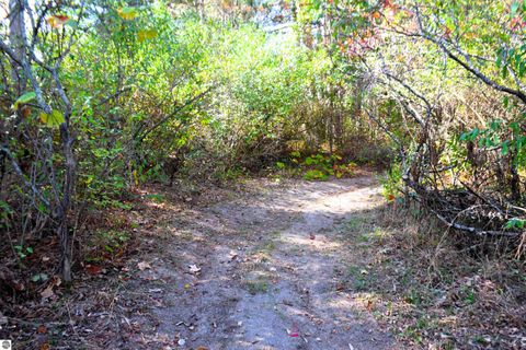 Tiny photo for 11015 75th Avenue, Mecosta, MI 49332 (MLS # 1939423)