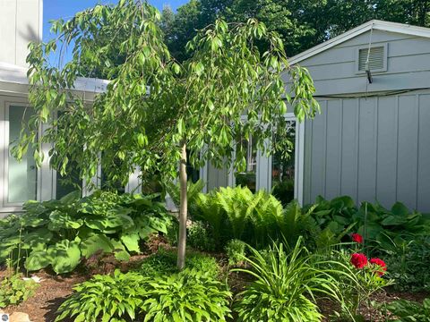 Tiny photo for 10774 S US-31, Williamsburg, MI 49690 (MLS # 1933678)