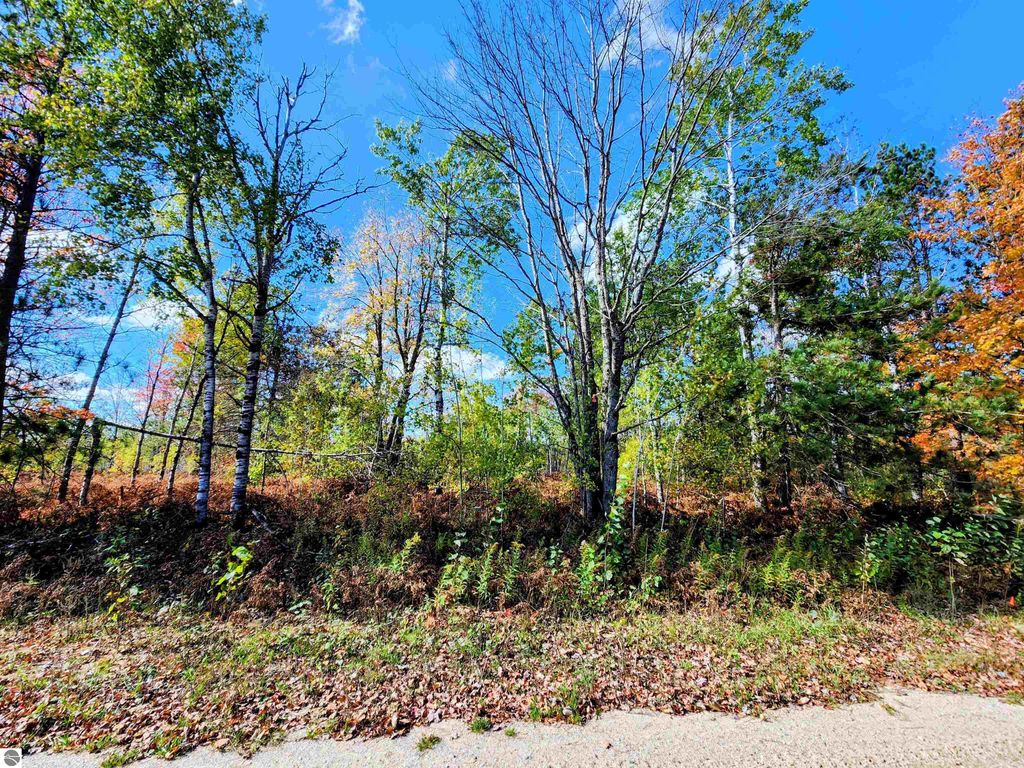 Photo of 697 Wildomar Drive, Mancelona, MI 49659 (MLS # 1939606)