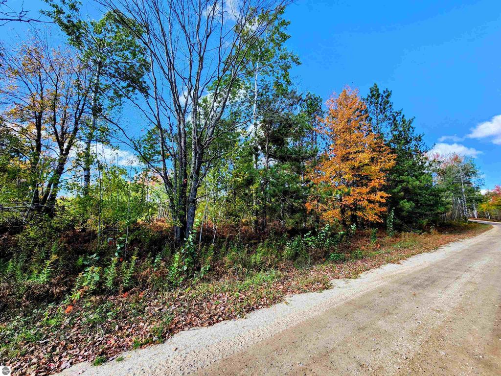 Photo of 697 Wildomar Drive, Mancelona, MI 49659 (MLS # 1939606)