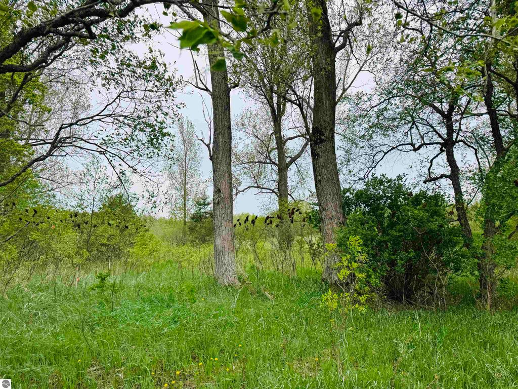 Photo of 2 Bosscher Road, Manton, MI 49663 (MLS # 1934039)