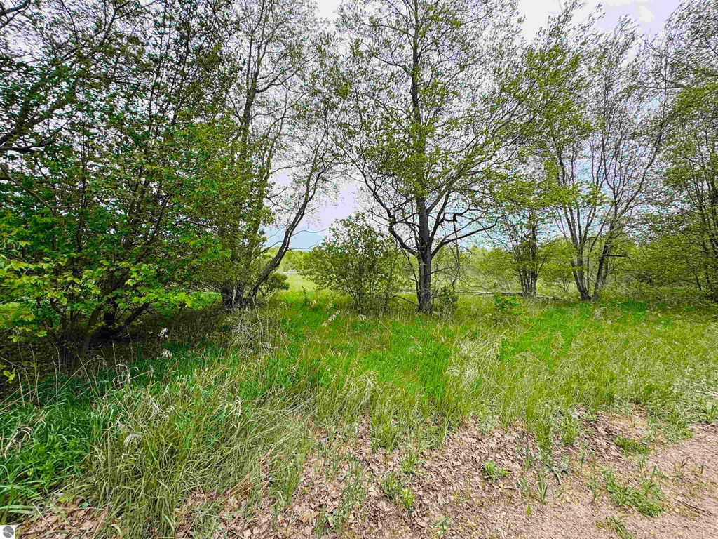 Photo of 2 Bosscher Road, Manton, MI 49663 (MLS # 1934039)