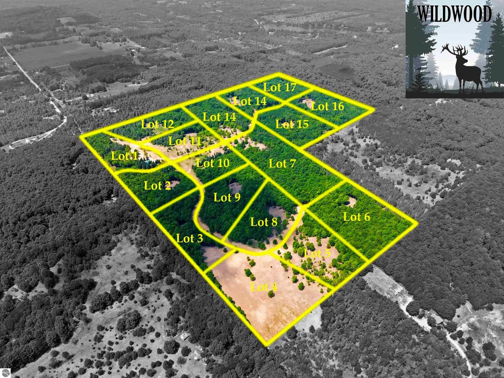 Photo of 10732 SW Pine Ridge Drive, Fife Lake, MI 49633 (MLS # 1939721)