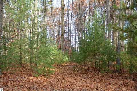 Tiny photo for 864 SE Blue Heron Drive, Kalkaska, MI 49646 (MLS # 1940247)