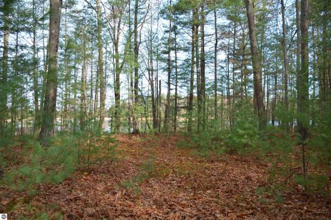 Tiny photo for 864 SE Blue Heron Drive, Kalkaska, MI 49646 (MLS # 1940247)