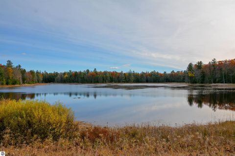 Tiny photo for 864 SE Blue Heron Drive, Kalkaska, MI 49646 (MLS # 1940247)