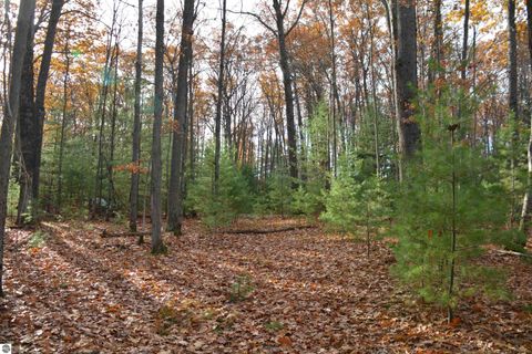 Tiny photo for 864 SE Blue Heron Drive, Kalkaska, MI 49646 (MLS # 1940247)