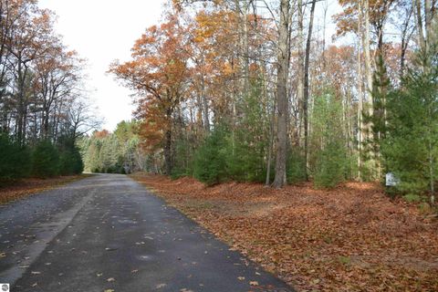 Tiny photo for 864 SE Blue Heron Drive, Kalkaska, MI 49646 (MLS # 1940247)