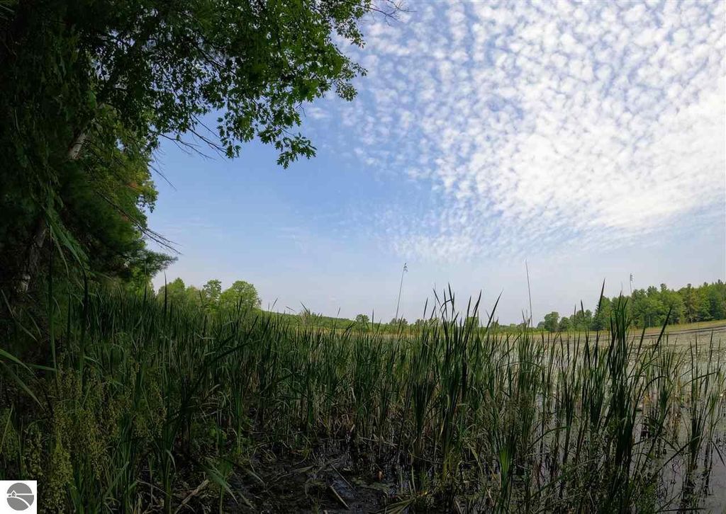 Photo of 864 SE Blue Heron Drive, Kalkaska, MI 49646 (MLS # 1940247)