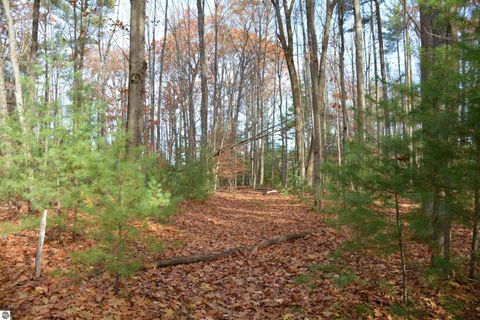 Tiny photo for 864 SE Blue Heron Drive, Kalkaska, MI 49646 (MLS # 1940247)