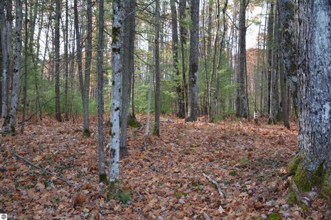 Tiny photo for 864 SE Blue Heron Drive, Kalkaska, MI 49646 (MLS # 1940247)