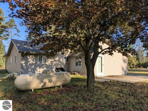 Tiny photo for 5533 E County Line Road, South Branch, MI 48761 (MLS # 1940405)