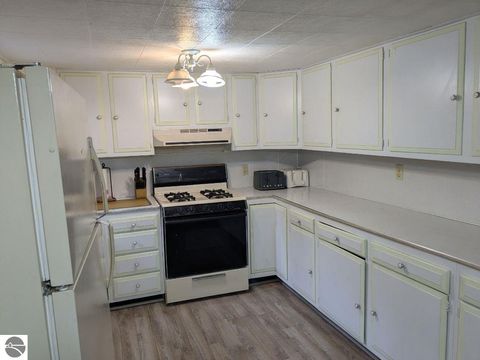 Tiny photo for 5533 E County Line Road, South Branch, MI 48761 (MLS # 1940405)