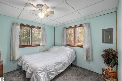 Tiny photo for 5489 S Kings Highway, Chase, MI 49623 (MLS # 1939521)
