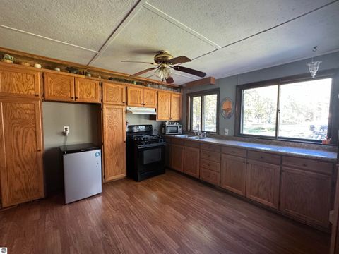 Tiny photo for 5489 S Kings Highway, Chase, MI 49623 (MLS # 1939521)