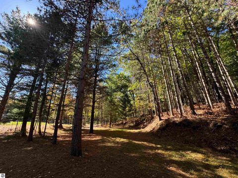 Tiny photo for 5489 S Kings Highway, Chase, MI 49623 (MLS # 1939521)
