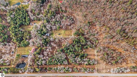 Tiny photo for 5489 S Kings Highway, Chase, MI 49623 (MLS # 1939521)