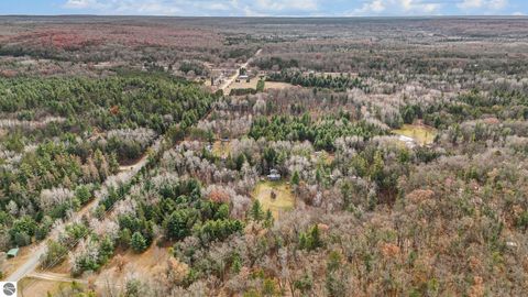 Tiny photo for 5489 S Kings Highway, Chase, MI 49623 (MLS # 1939521)