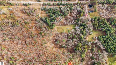 Tiny photo for 5489 S Kings Highway, Chase, MI 49623 (MLS # 1939521)