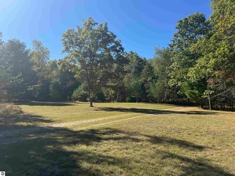 Tiny photo for 5489 S Kings Highway, Chase, MI 49623 (MLS # 1939521)