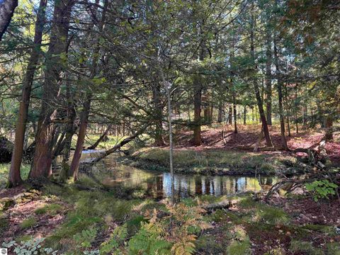 Tiny photo for 5489 S Kings Highway, Chase, MI 49623 (MLS # 1939521)