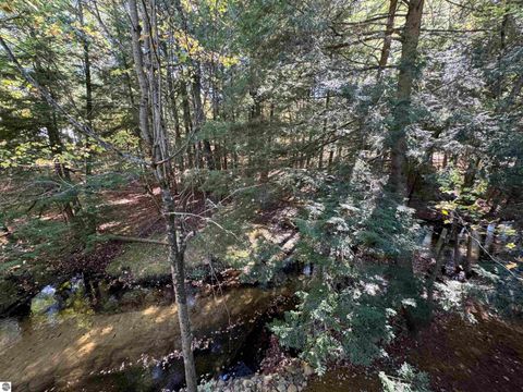 Tiny photo for 5489 S Kings Highway, Chase, MI 49623 (MLS # 1939521)