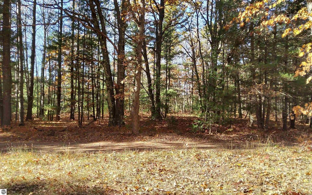 Photo of 7725 Hall Creek Road, Interlochen, MI 49643 (MLS # 1940053)