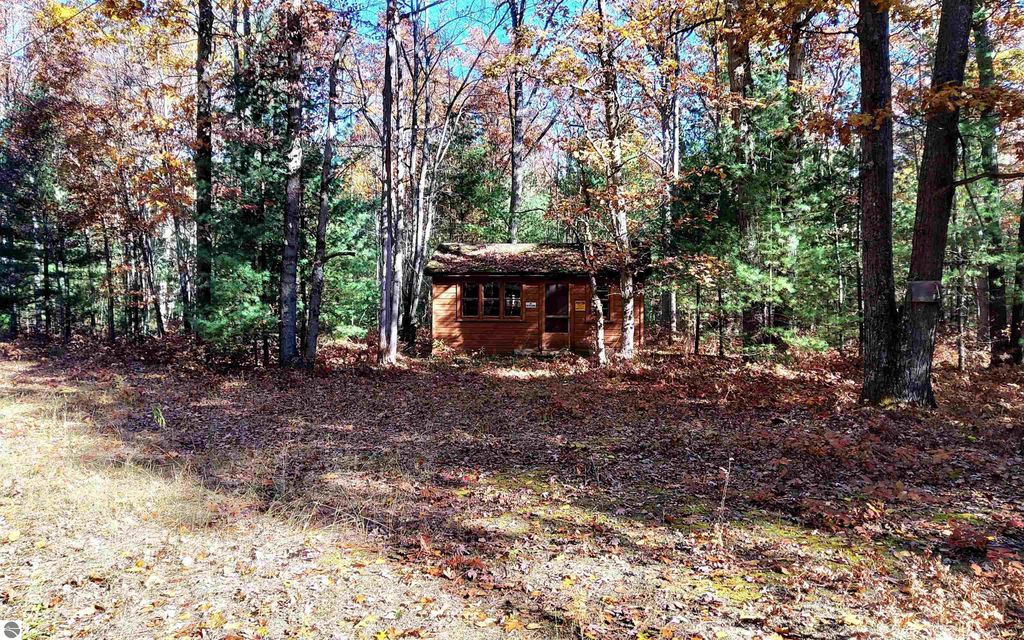 Photo of 7725 Hall Creek Road, Interlochen, MI 49643 (MLS # 1940053)