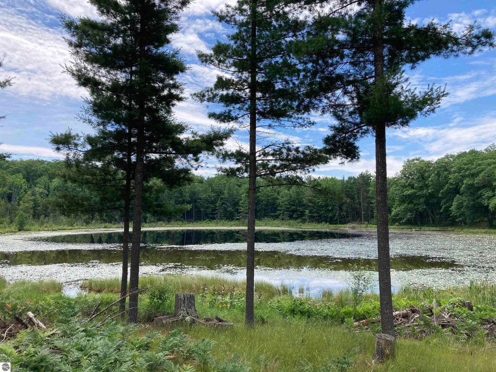 Photo of 1045 Abbott Road, Rose City, MI 48654 (MLS # 1936136)