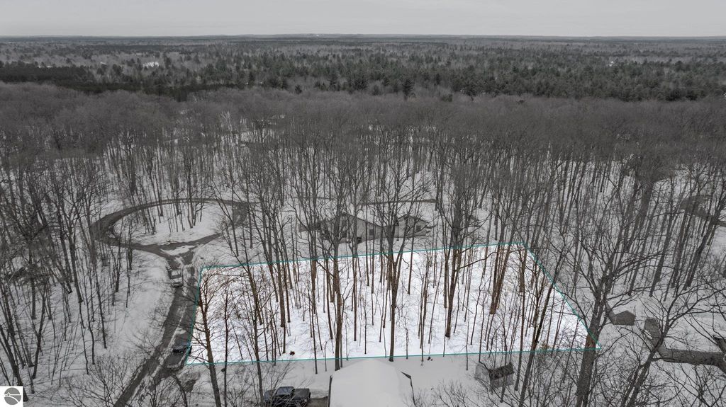 Photo of 830 Mohican Trail #830, Gaylord, MI 49735 (MLS # 1931423)
