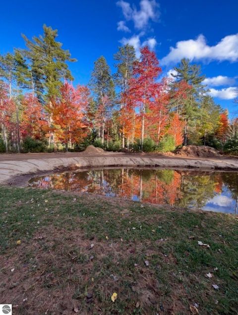 Tiny photo for 8264 SE Military Road, Fife Lake, MI 49633 (MLS # 1937972)